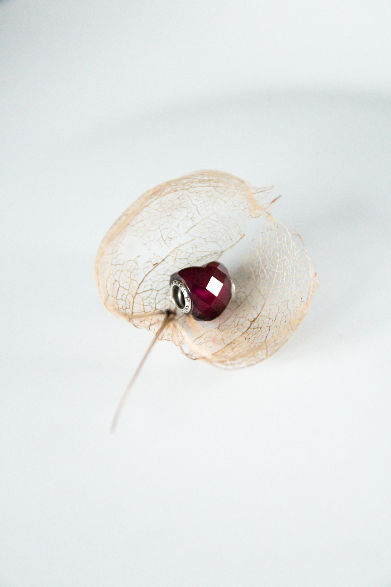 L' Oeil Noir Photographie